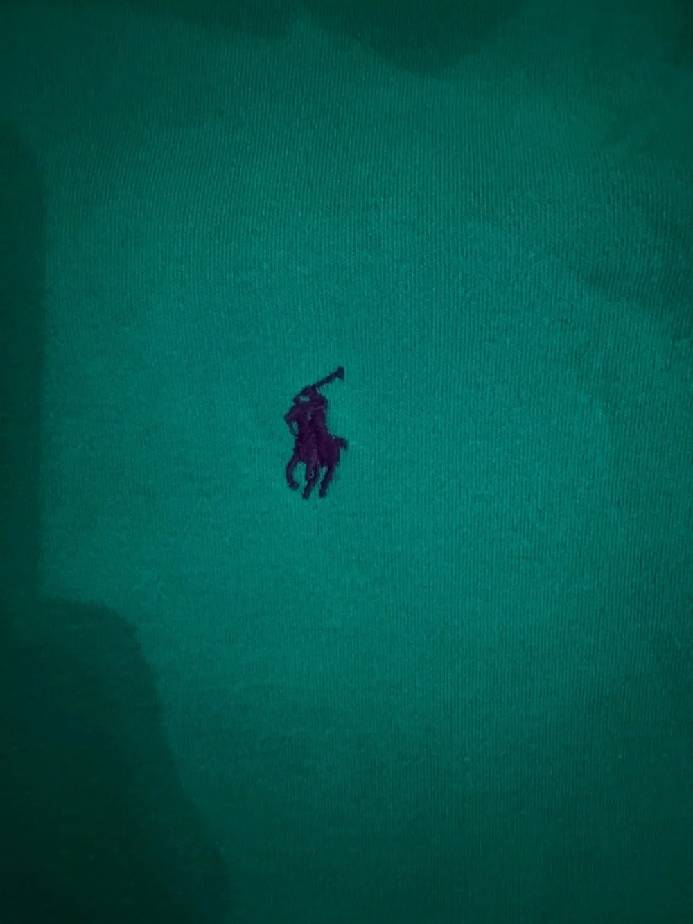 Ralph Lauren Teal Green Polo with Embroidered Pony
